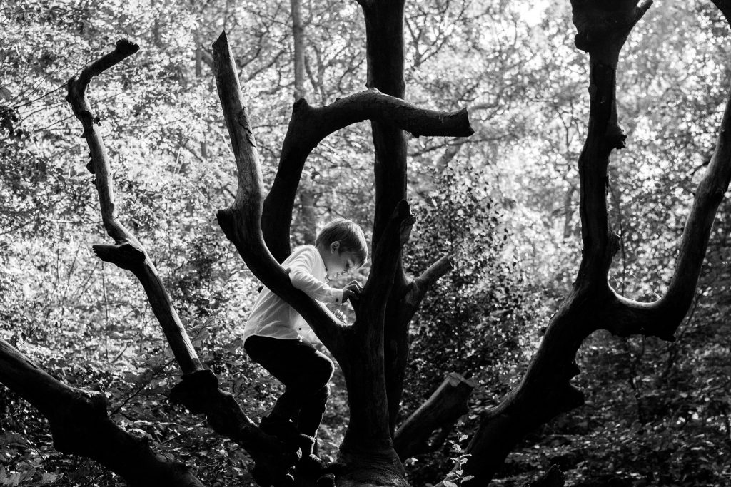 Black and white portrait photo of a boy climbing a big tree