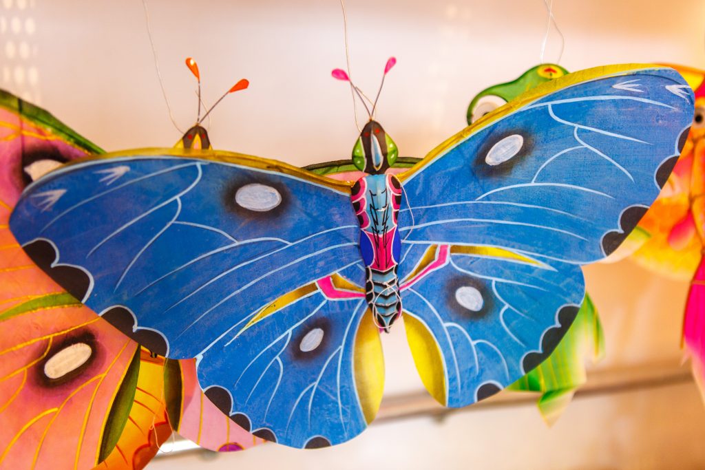 brightly coloured butterfly kites