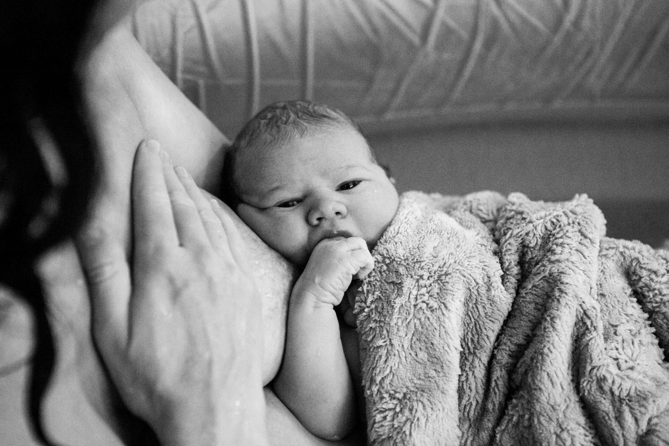 newborn baby lying on his mother's breasts in a home birthing pool